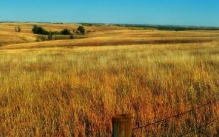 Nebraska prairie